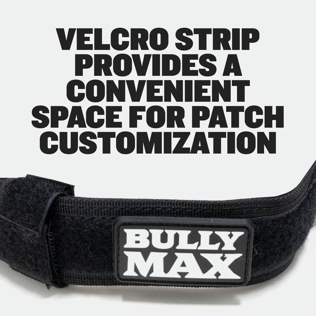 Padded Tactical Dog Collar product image 6