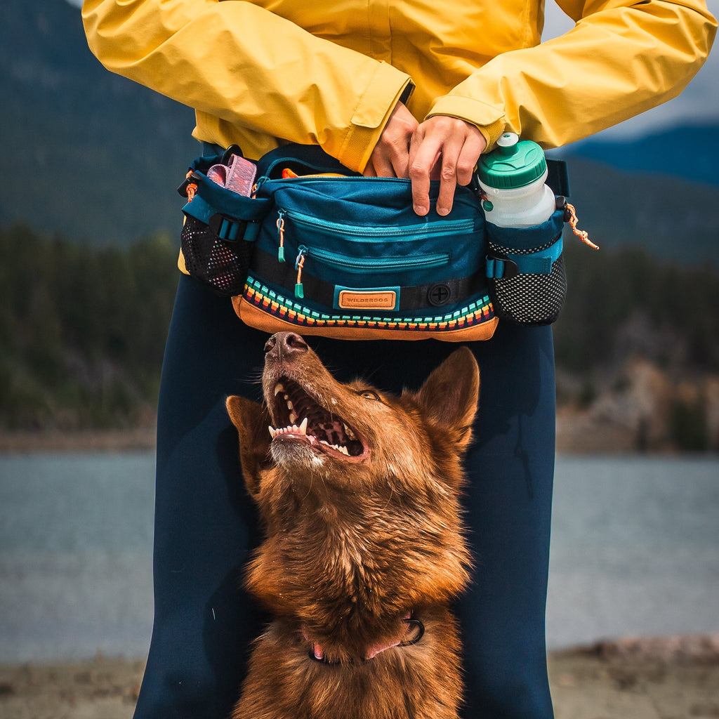Dog Walking Hip Pack product image 2