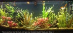 Double-Row Planted Aquarium LED Light product image 14