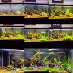 Planted Aquarium Soil Base Layer product image 8