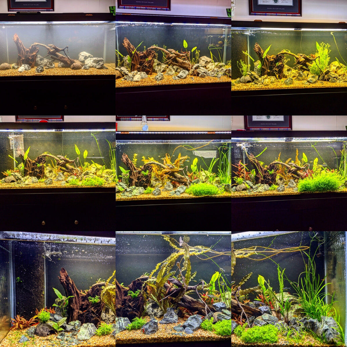 Planted Aquarium Soil Base Layer product image 8