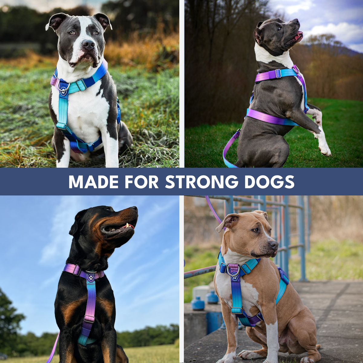 No-Pull Dog Harness Walking Set product image 6