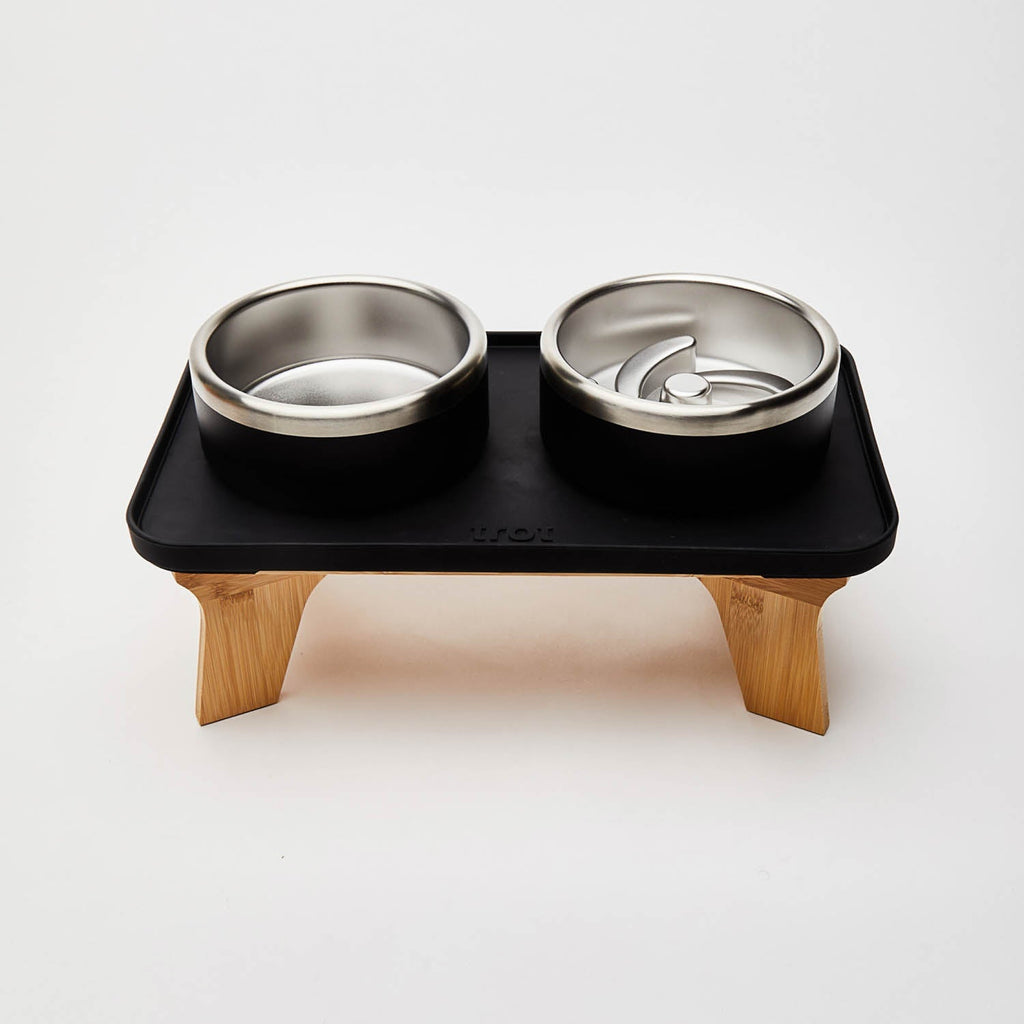 Elevated Pet Slow Feeder and Bowl Set product image 4