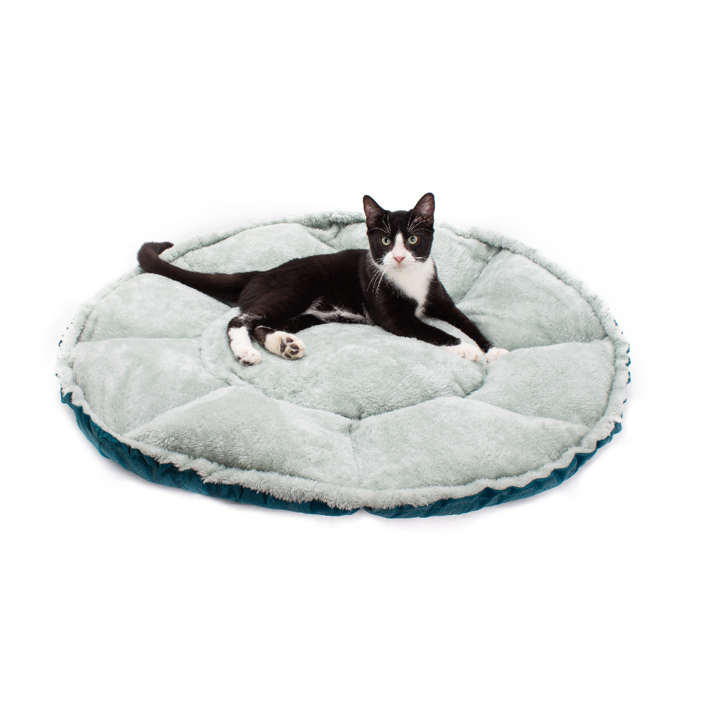 Convertible Reversible Cat Bed product image 2