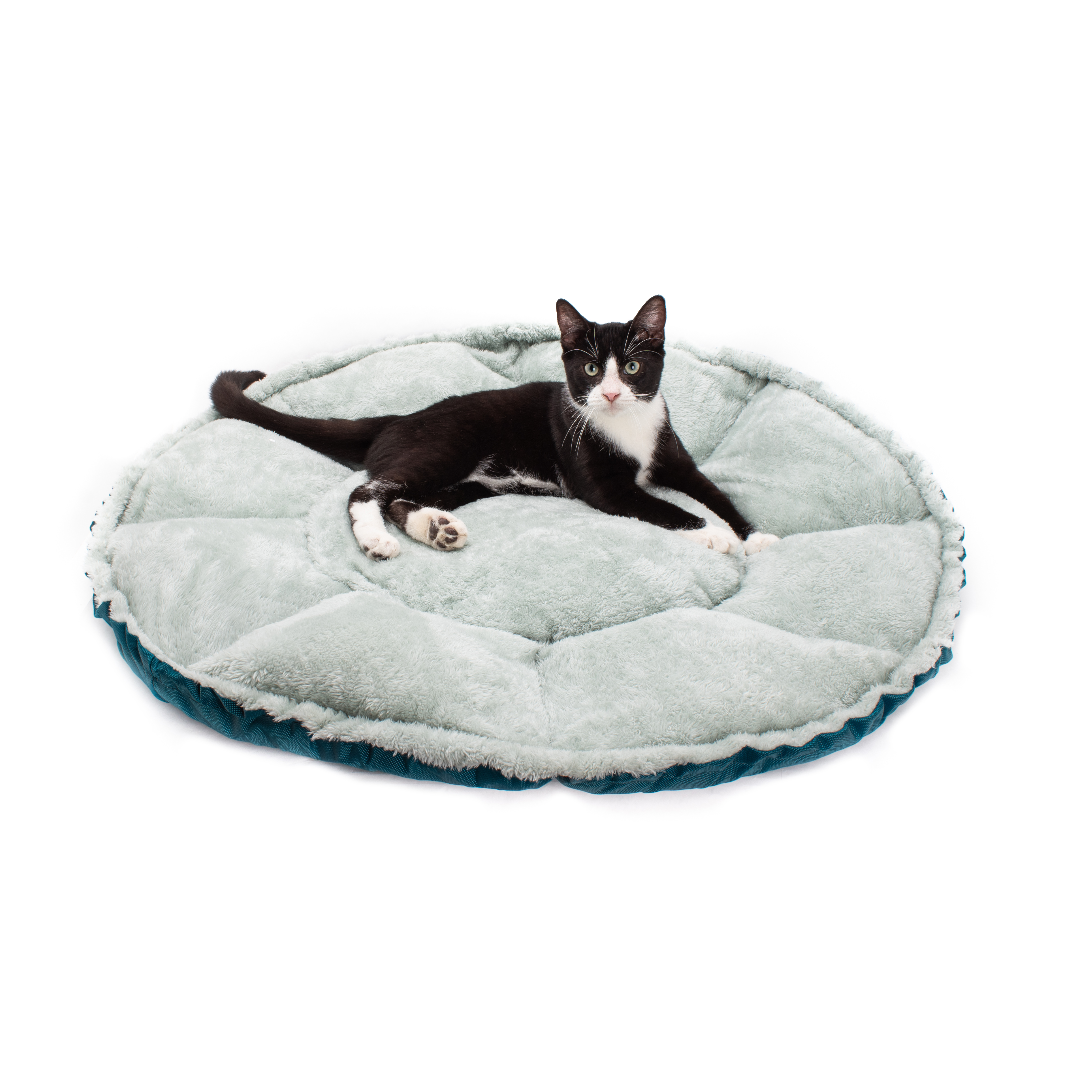 Convertible Reversible Cat Bed product image 2