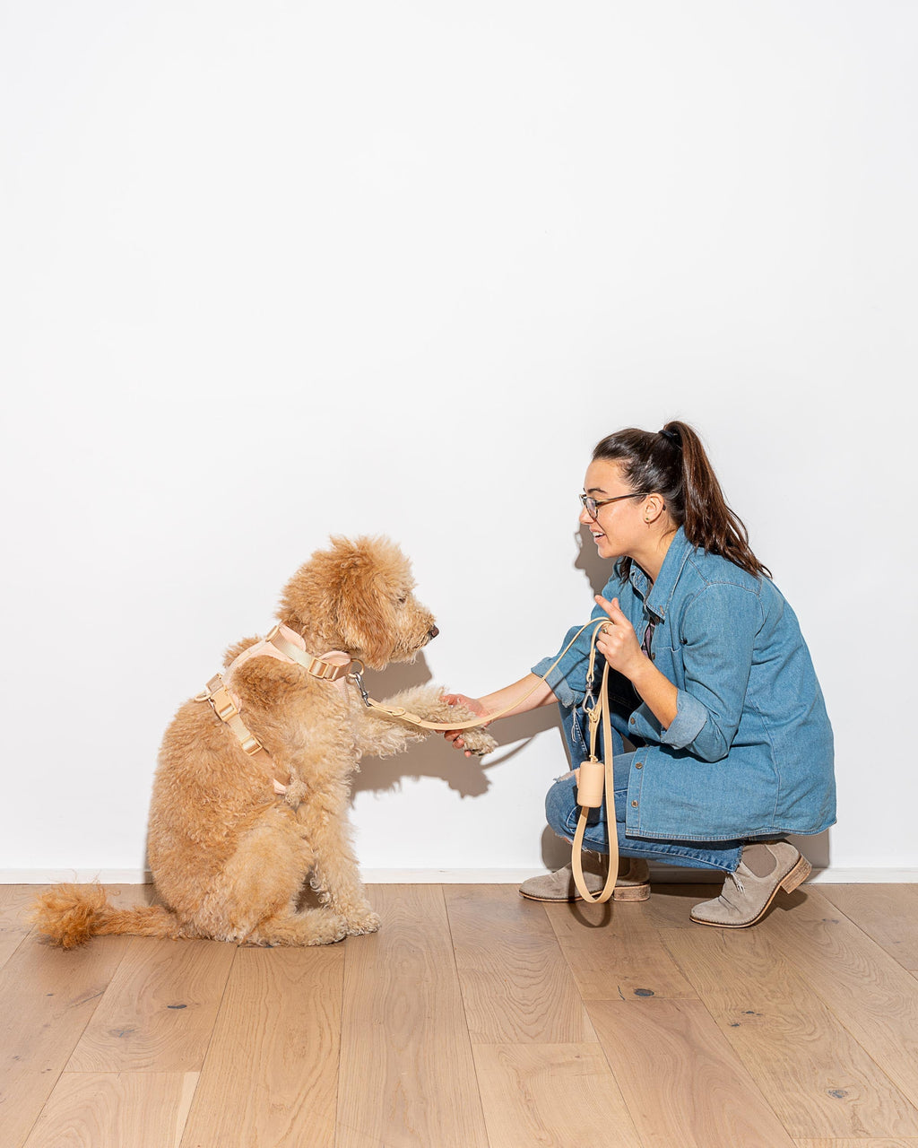 Leash-Attached Dog Waste Bag Dispenser product image 38