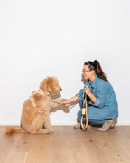 Leash-Attached Dog Waste Bag Dispenser product image 38