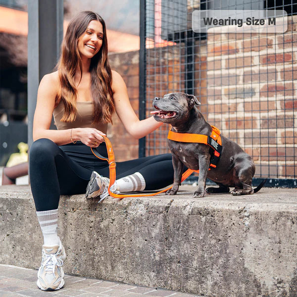 Adjustable Grab-Handle Dog Harness product image 39