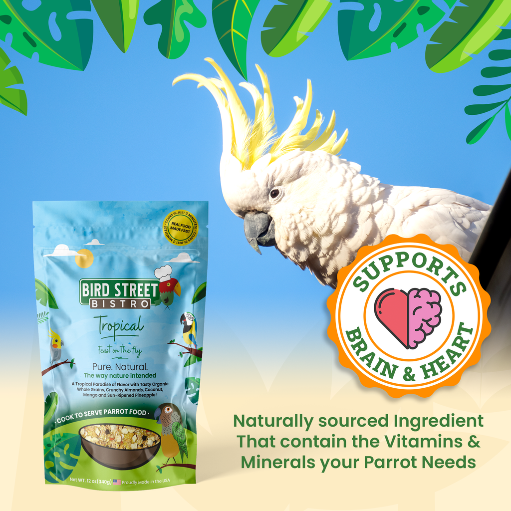 Parrot Food Variety Pack product image 3