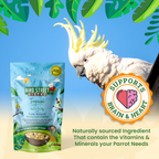 Parrot Food Variety Pack product image 3