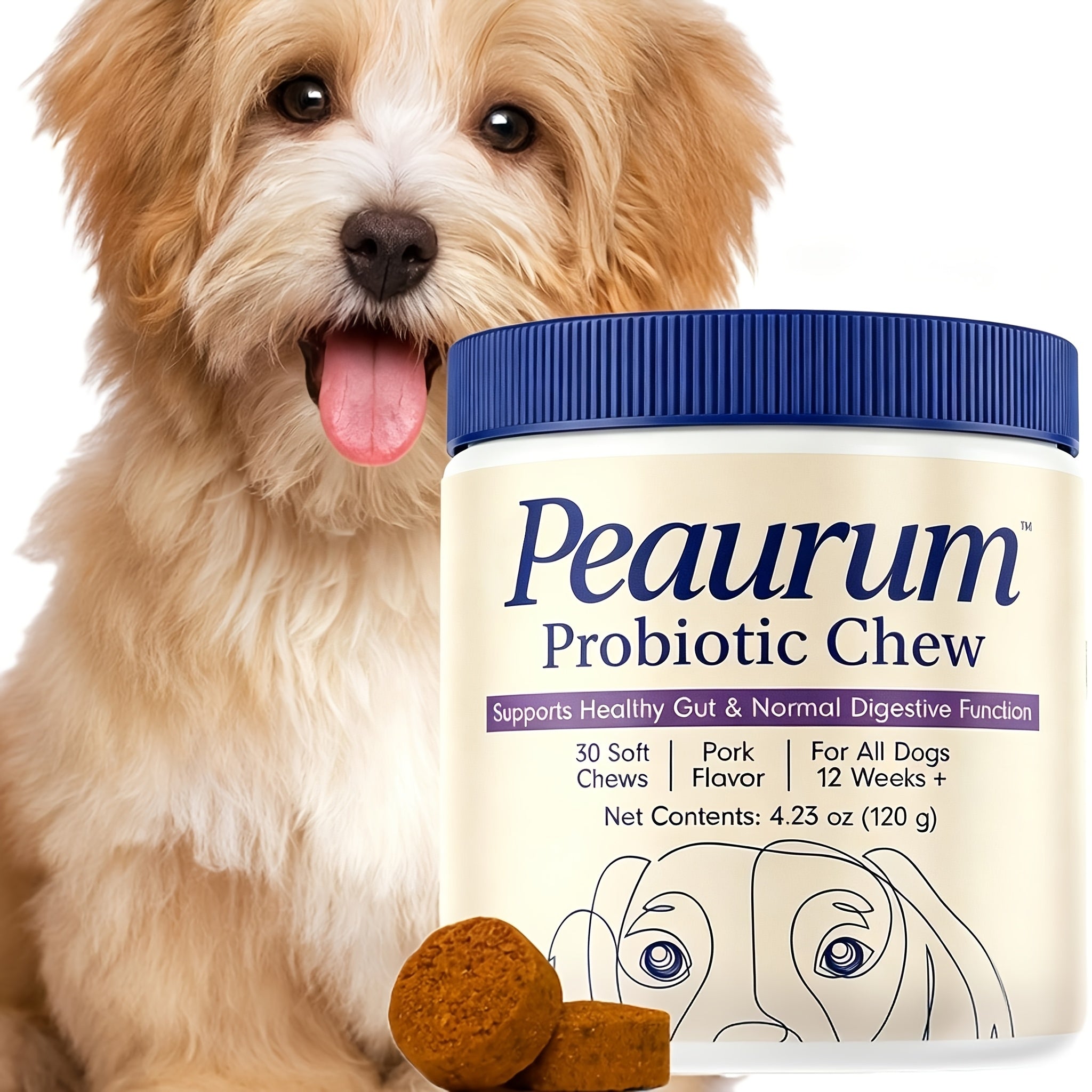 1-pack/ 2-pack Of Probiotics For Dogs, Supports Gut Health, Improves Digestion And Seasonal Reactions - Pork Flavor - 60 Softgels, Natural Plant-based Formula.
