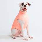 UPF 30 Dog Sun Shirt product image 27
