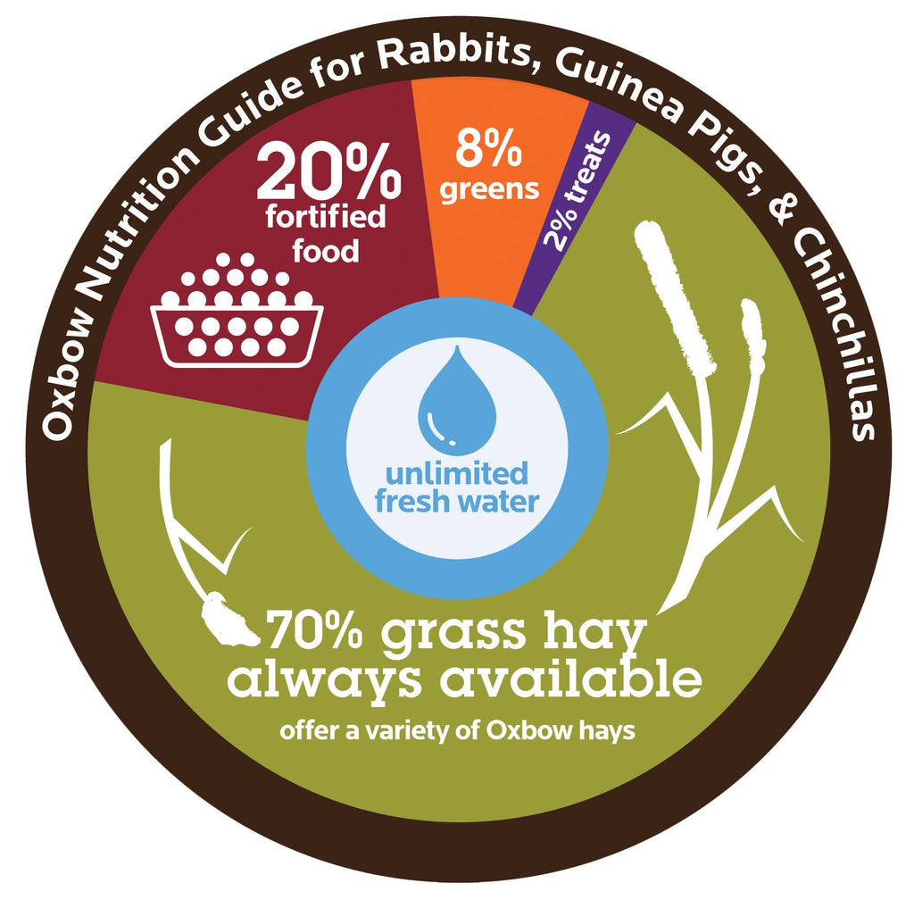Adult Rabbit Food product image 4