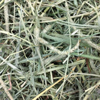 Small Animal Hay product image 2