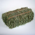 Orchard Grass Hay product image 1