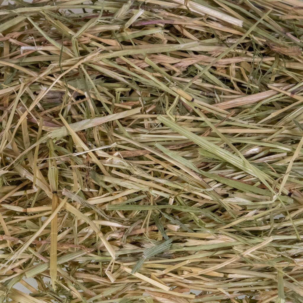 Orchard Grass Hay product image 2