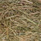 Orchard Grass Hay product image 2
