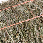 Orchard Grass Hay product image 3