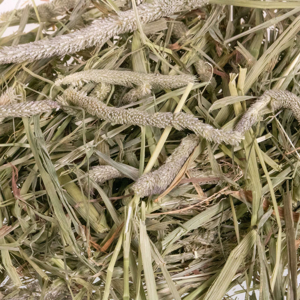Small Animal Hay product image 2