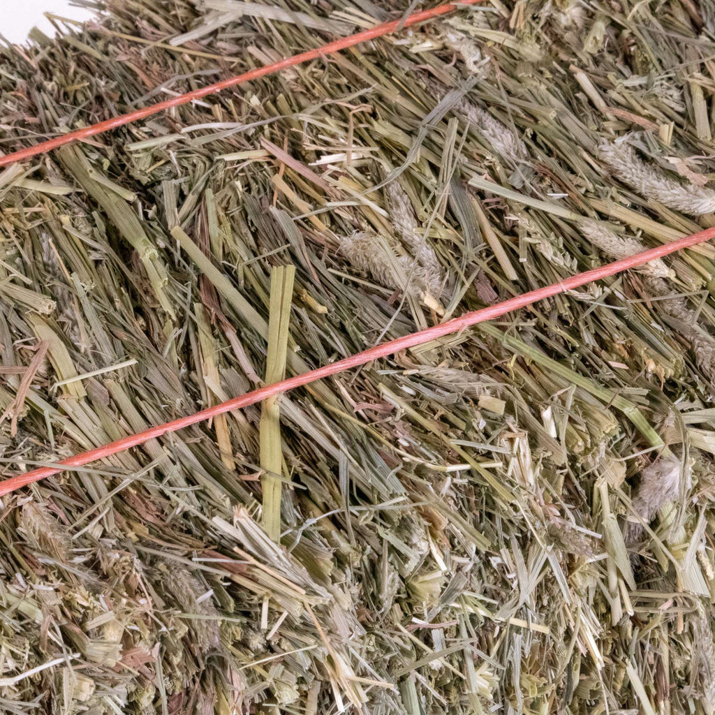 Small Animal Hay product image 3