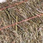 Small Animal Hay product image 3