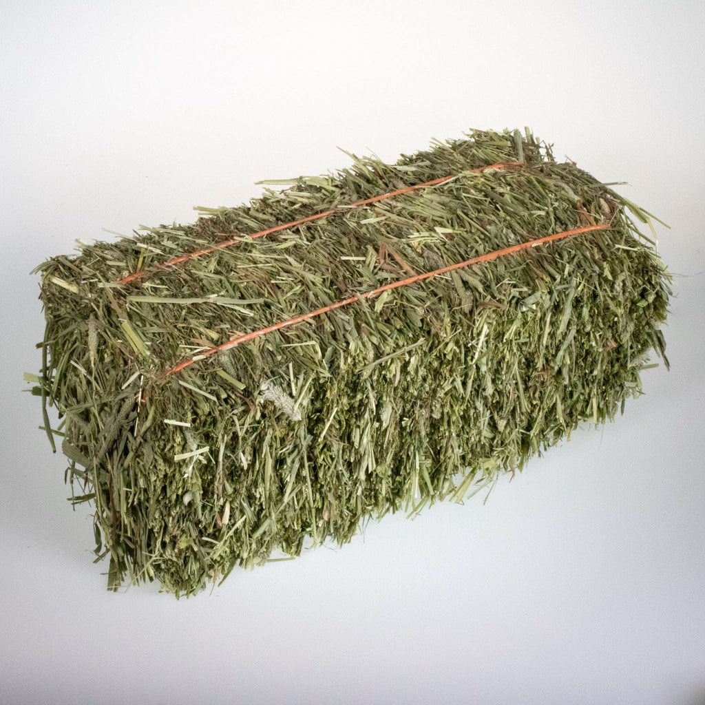 Timothy Hay product image 1