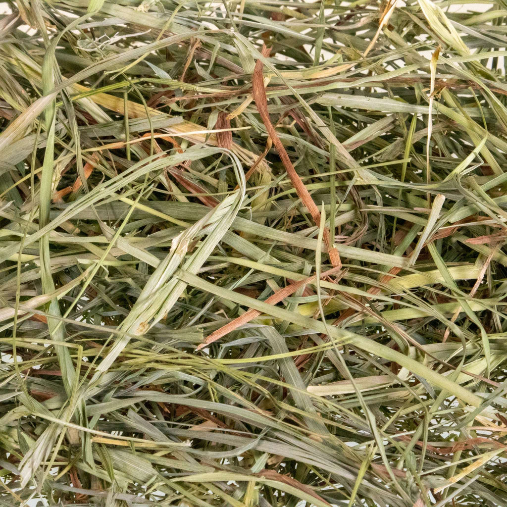 Timothy Hay product image 2
