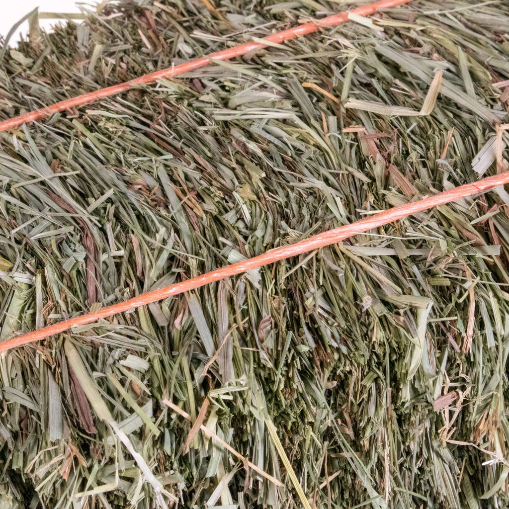 Timothy Hay product image 3