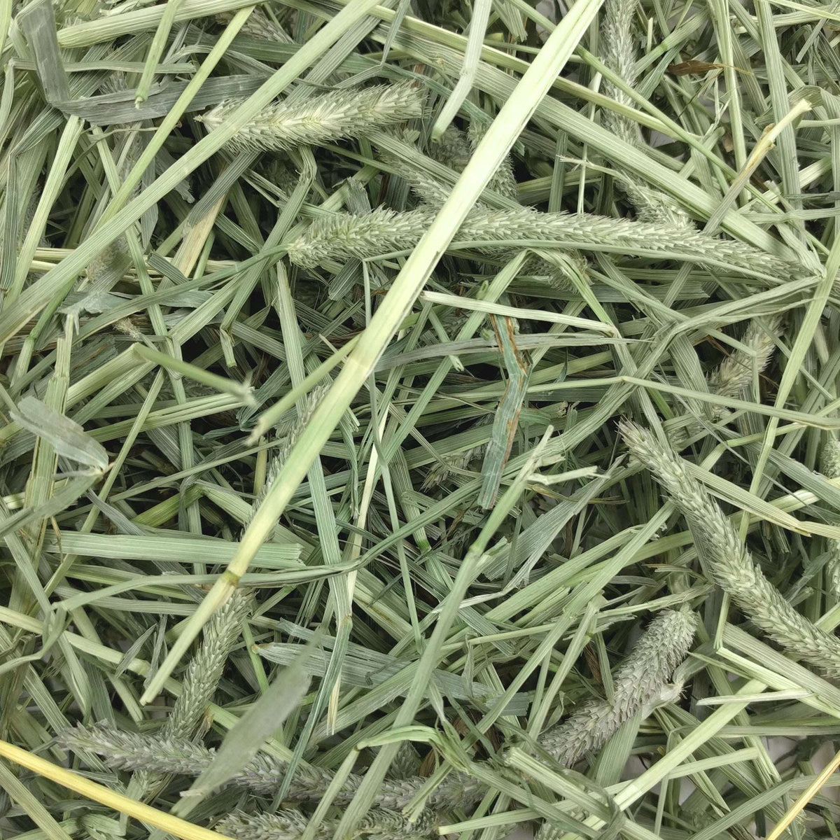 Timothy Hay product image 2