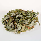 Willow Wreath with Foliage - BinkyBunny.com House Rabbit Store