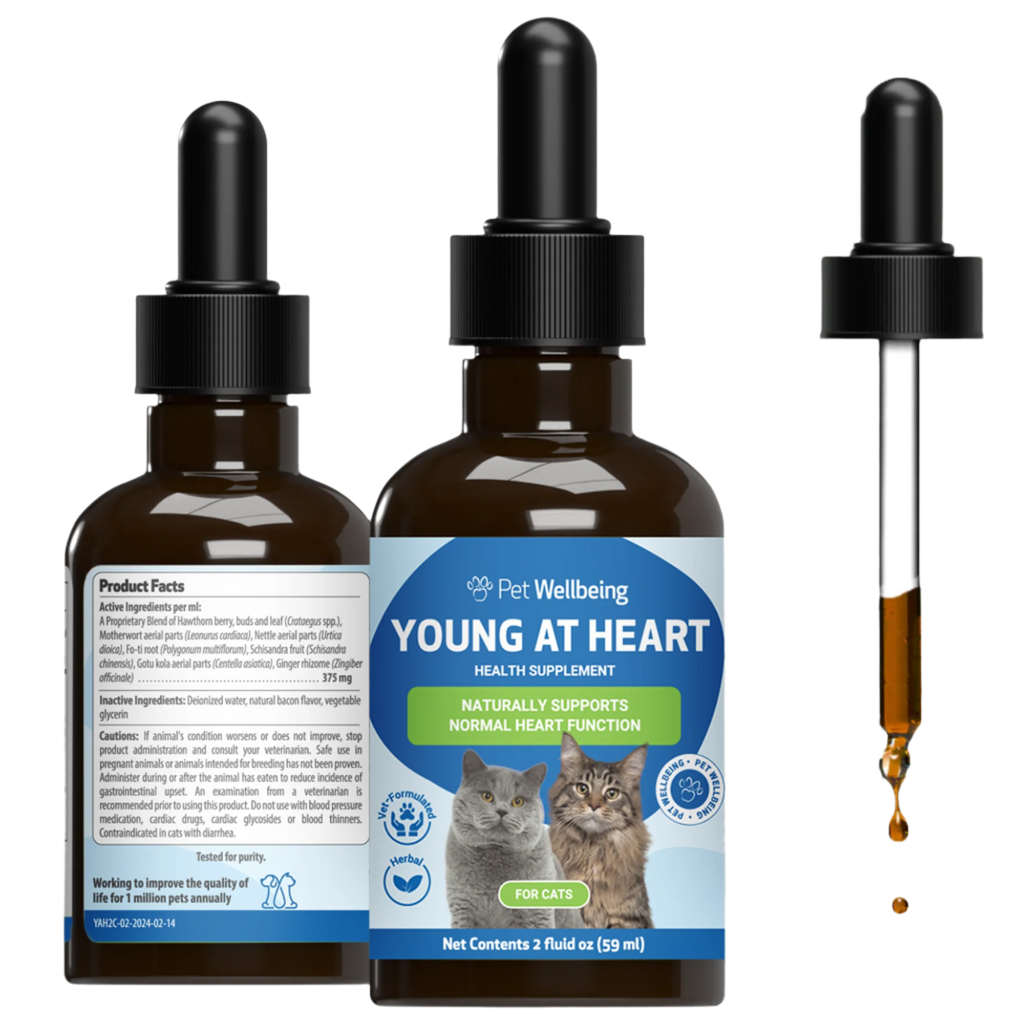 Cat Heart Supplement product image 1