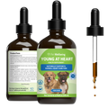 Dog Heart Supplement product image 1