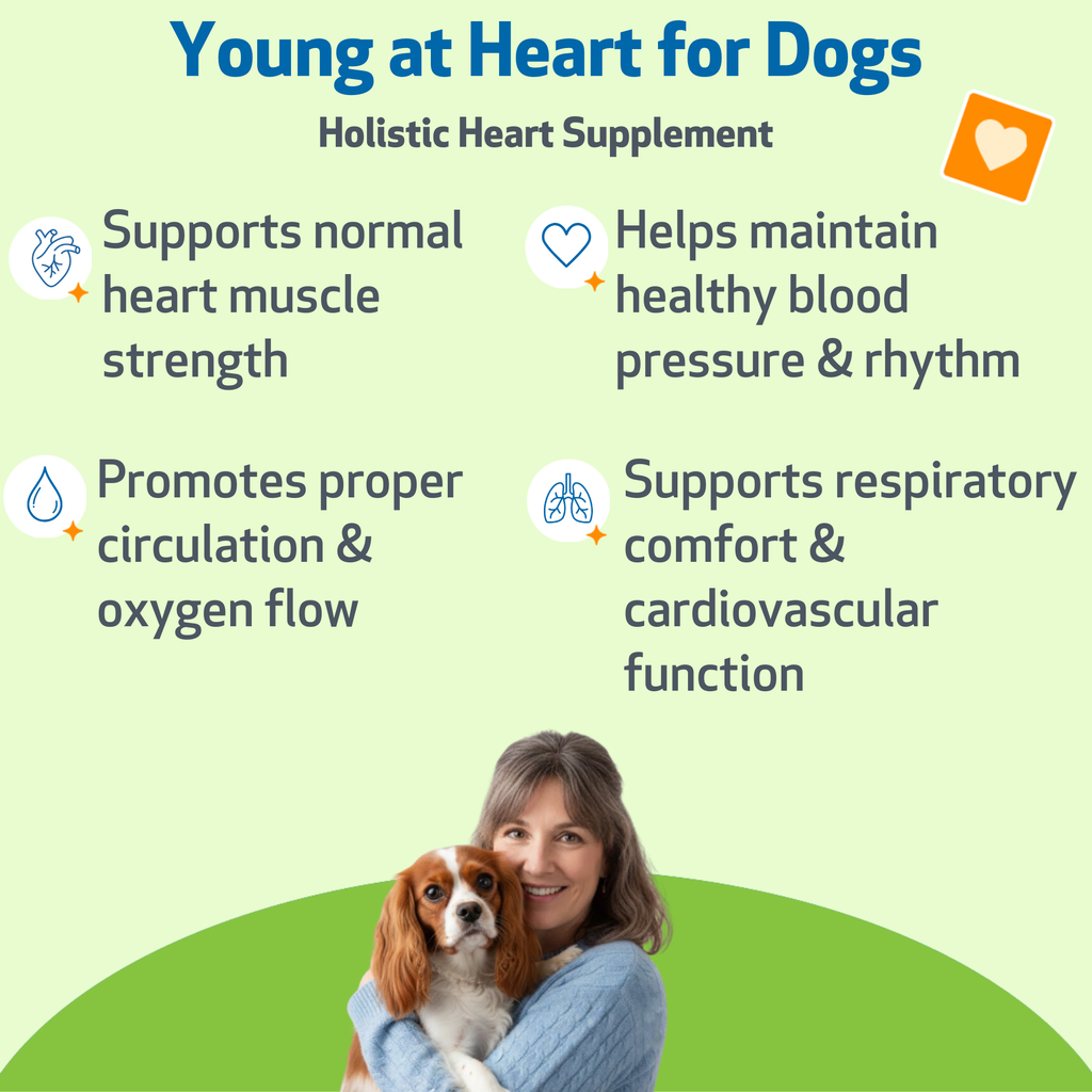 Dog Heart Supplement product image 2
