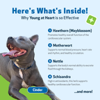 Dog Heart Supplement product image 3