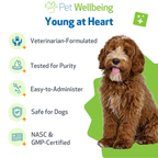 Dog Heart Supplement product image 5