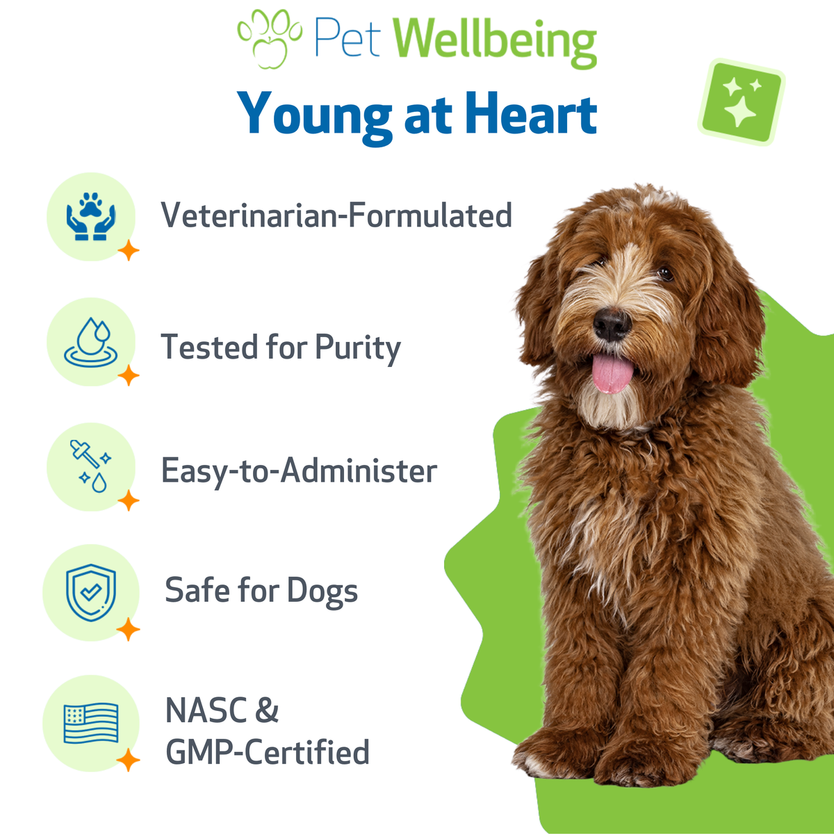Dog Heart Supplement product image 5