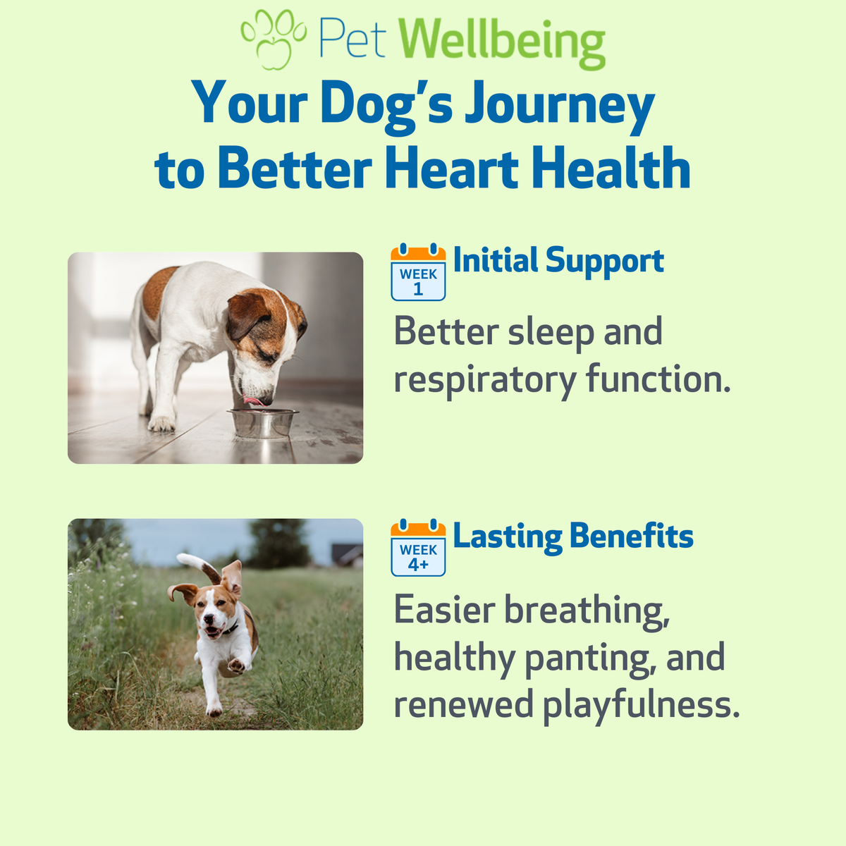 Dog Heart Supplement product image 8