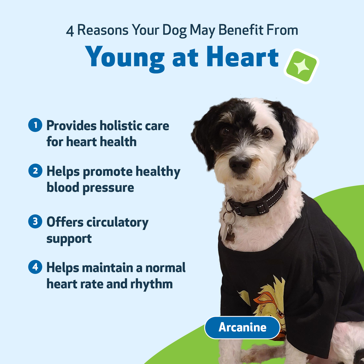 Dog Heart Supplement product image 9