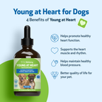 Dog Heart Supplement product image 10