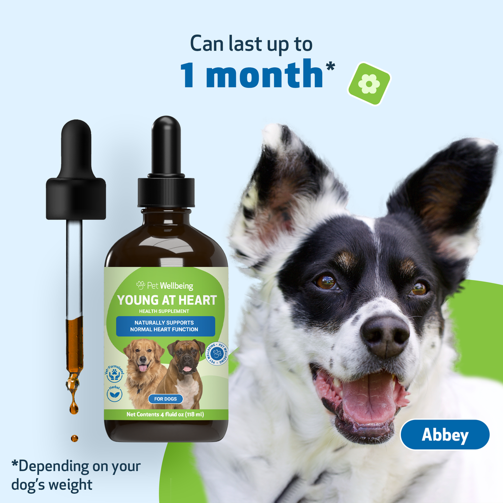 Dog Heart Supplement product image 11