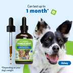 Dog Heart Supplement product image 11