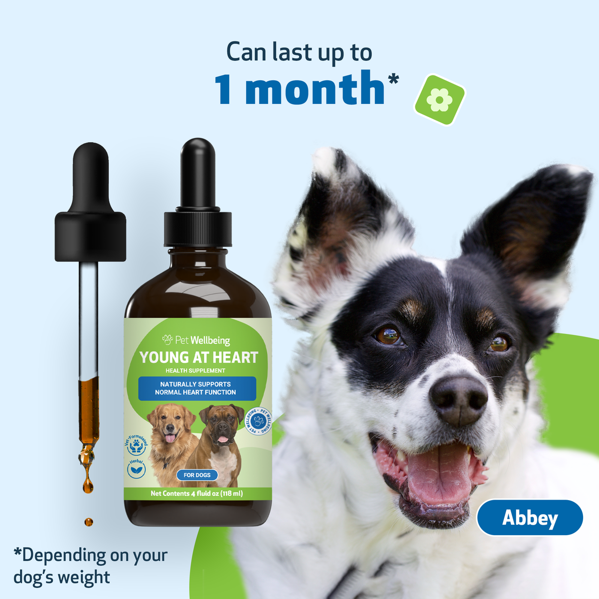 Dog Heart Supplement product image 11