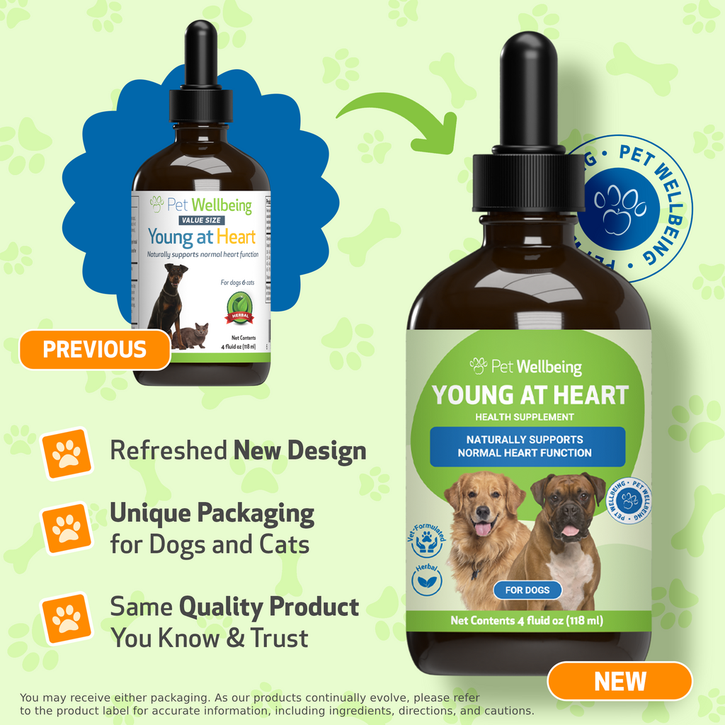 Dog Heart Supplement product image 13