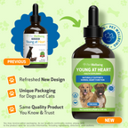 Dog Heart Supplement product image 13