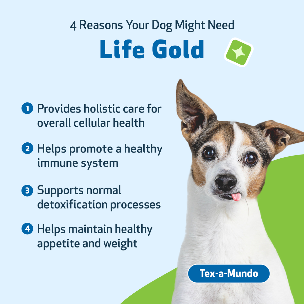 Dog Immune Supplement product image 3