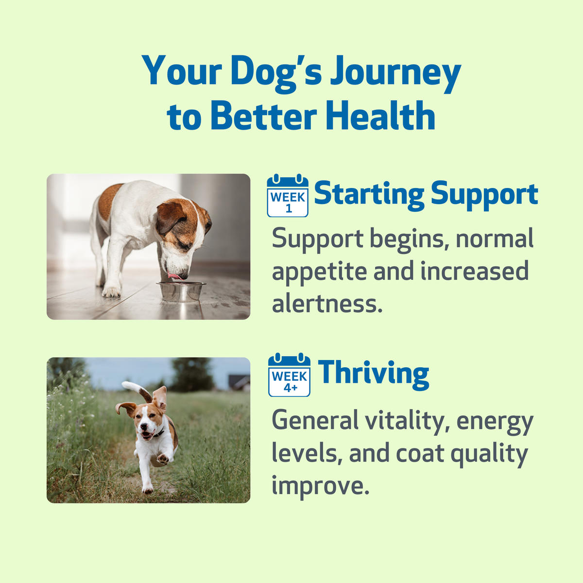 Dog Immune Supplement product image 10