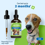 Dog Immune Supplement product image 12