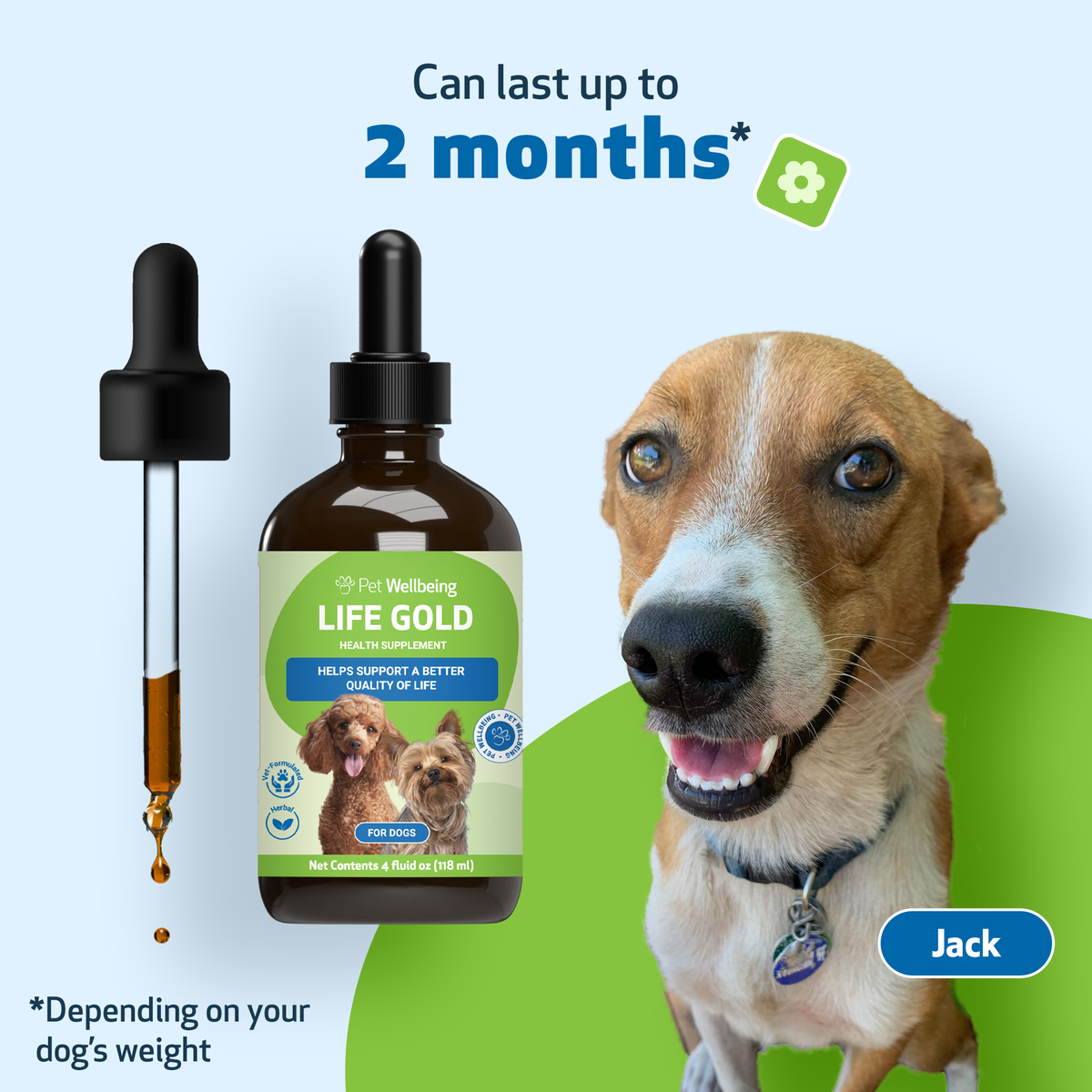 Dog Immune Supplement product image 12