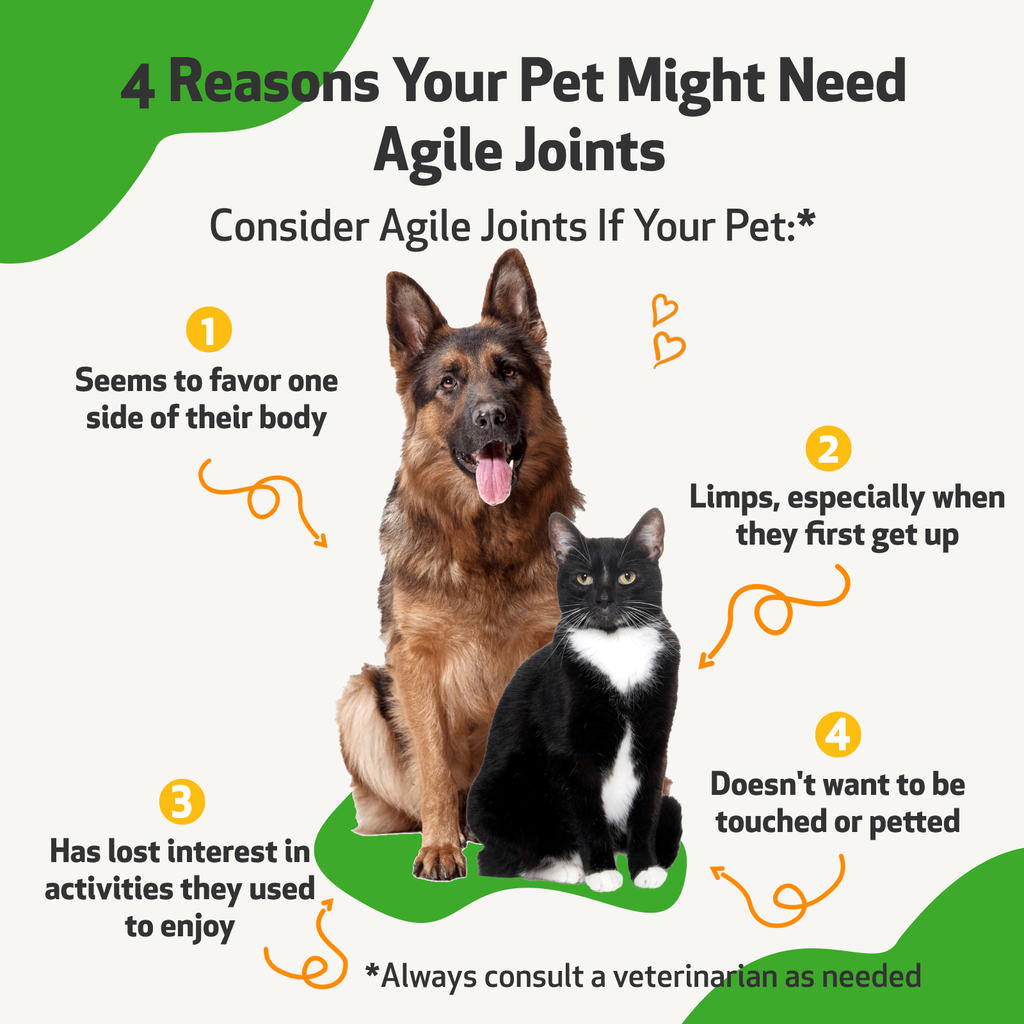 Dog Joint Supplement product image 7