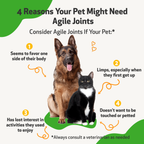 Dog Joint Supplement product image 7